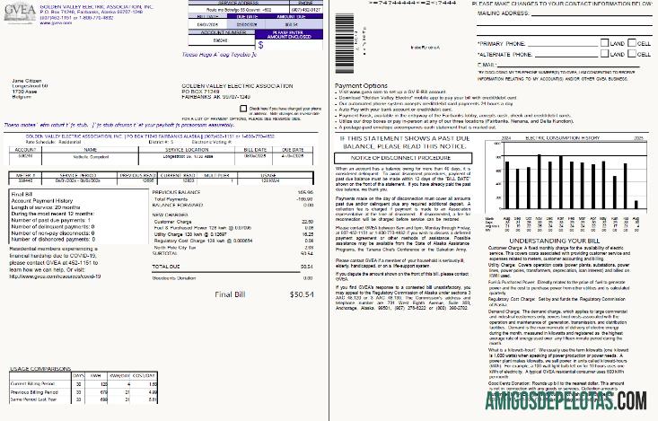 Para baixar modelo de conta de serviços públicos da Associação Elétrica Golden Valley da Bélgica em formatos Word e PDF, 2 páginas
